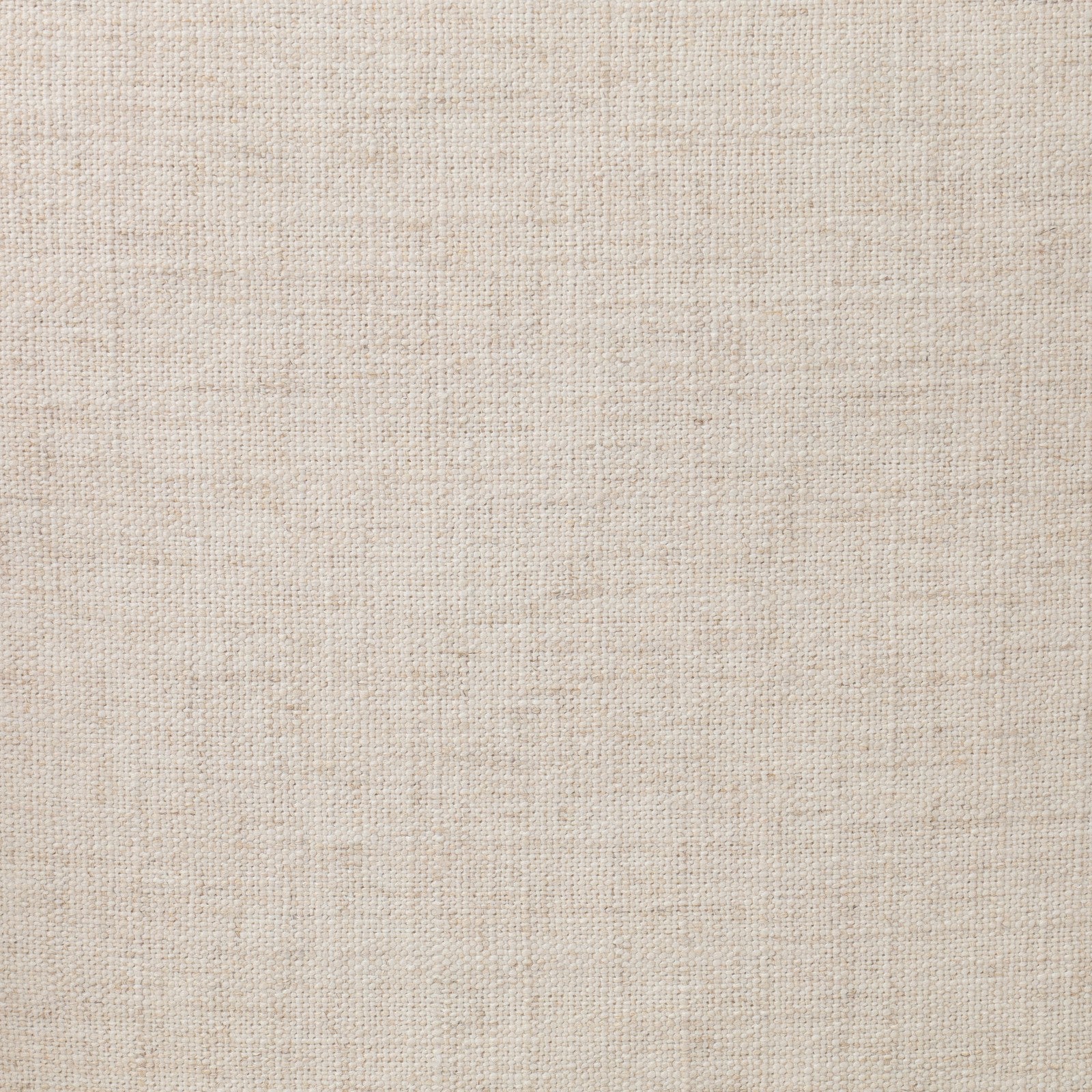 Kalani Chair-Alcala Cream