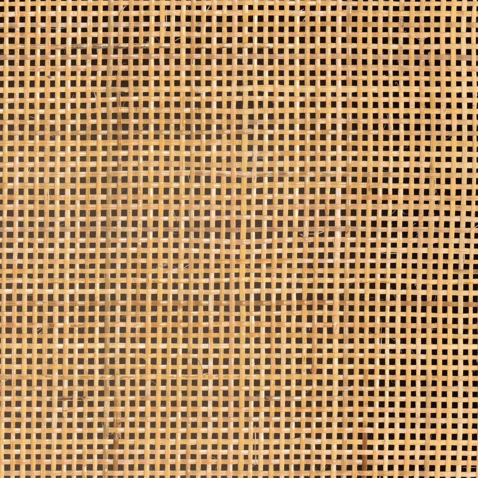 Caprice Tall Cabinet