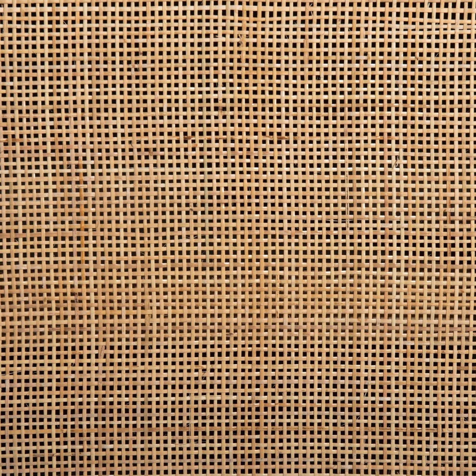 Caprice Wide Bookshelf