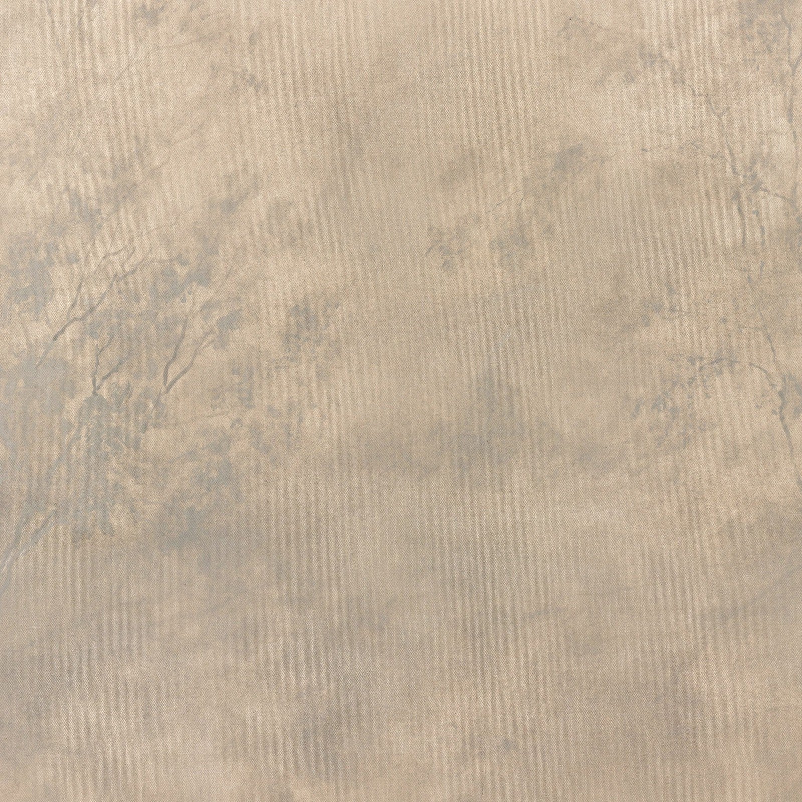 The Clearing By Aileen Fitzgerald