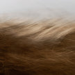 Reality Unfurled By Toni Toscano 394