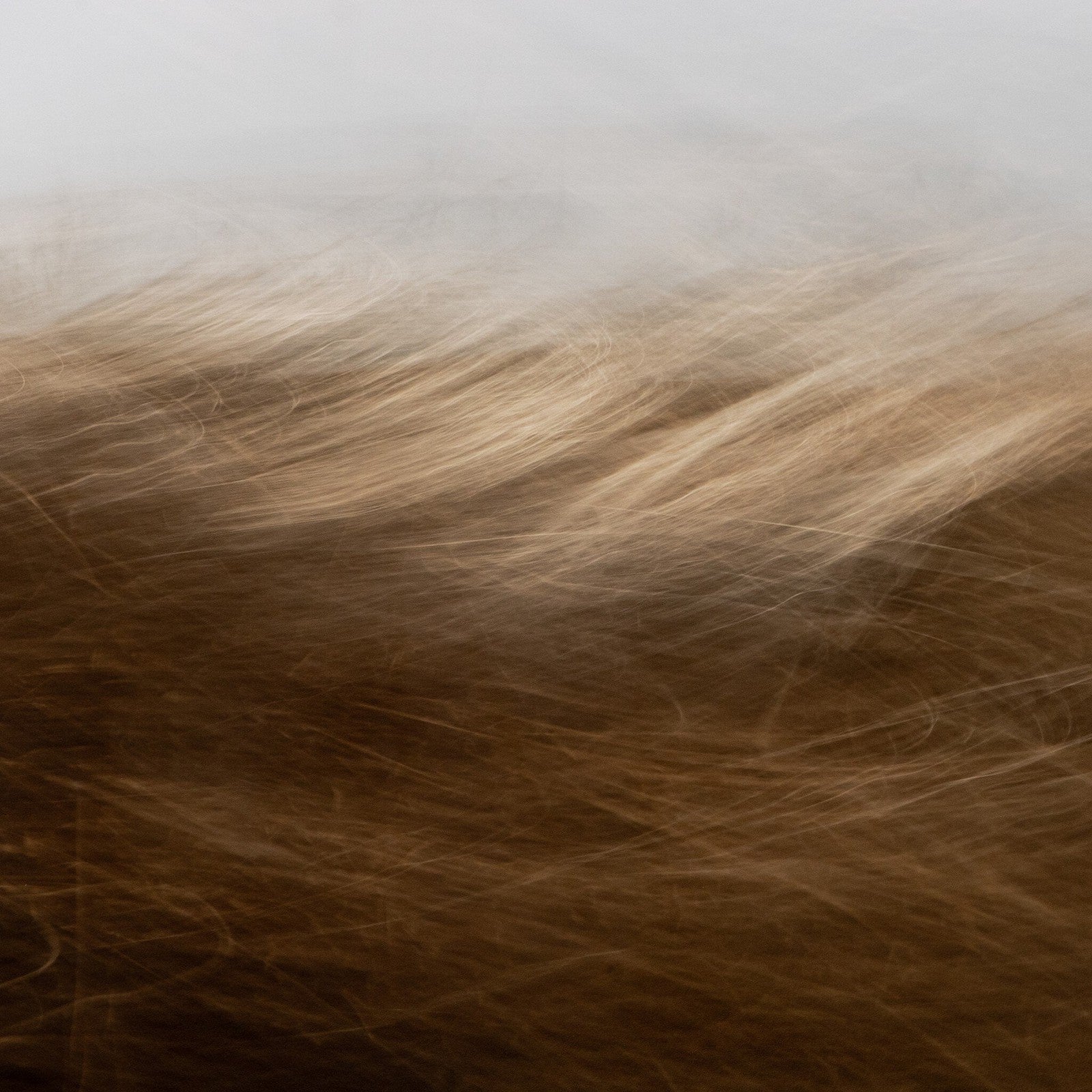 Reality Unfurled By Toni Toscano 393
