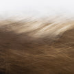 Reality Unfurled By Toni Toscano 394