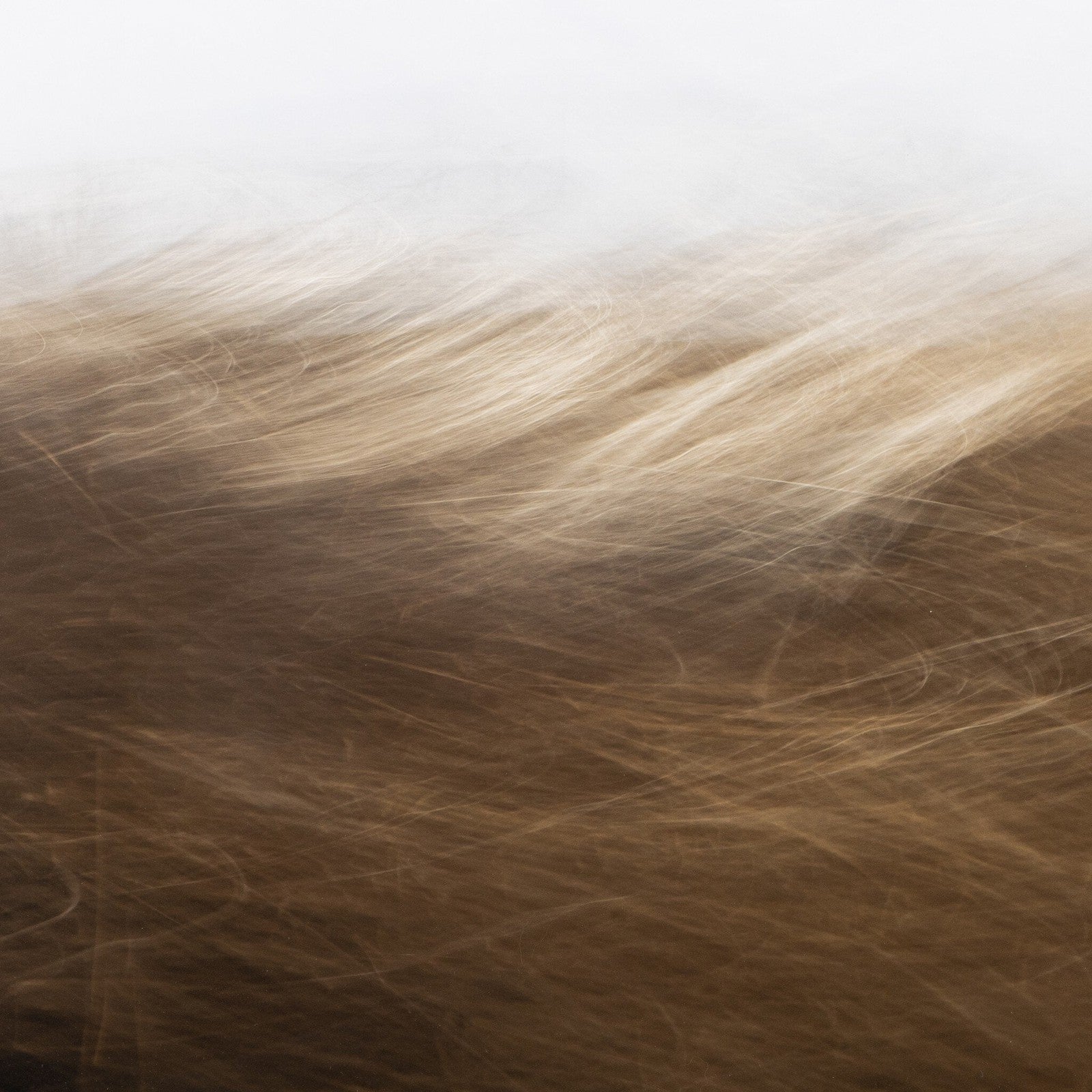 Reality Unfurled By Toni Toscano 394