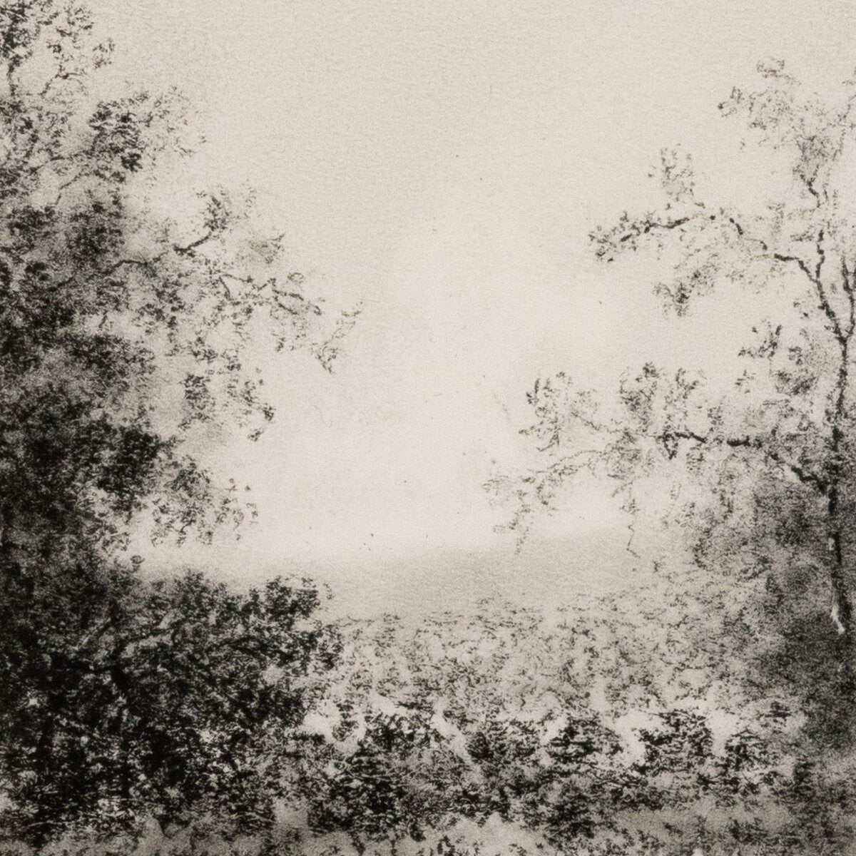 Lanape Study II By Aileen Fitzgerald