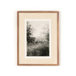 Lanape Study II By Aileen Fitzgerald