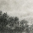Hill Ctry Study I By Aileen Fitzgerald