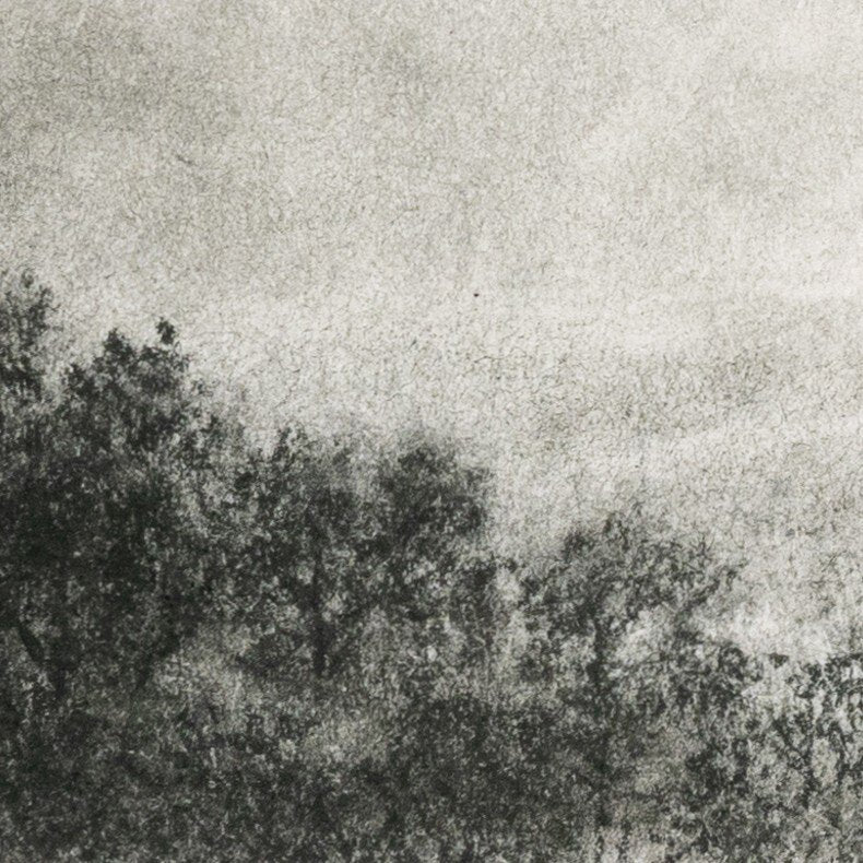 Hill Ctry Study I By Aileen Fitzgerald