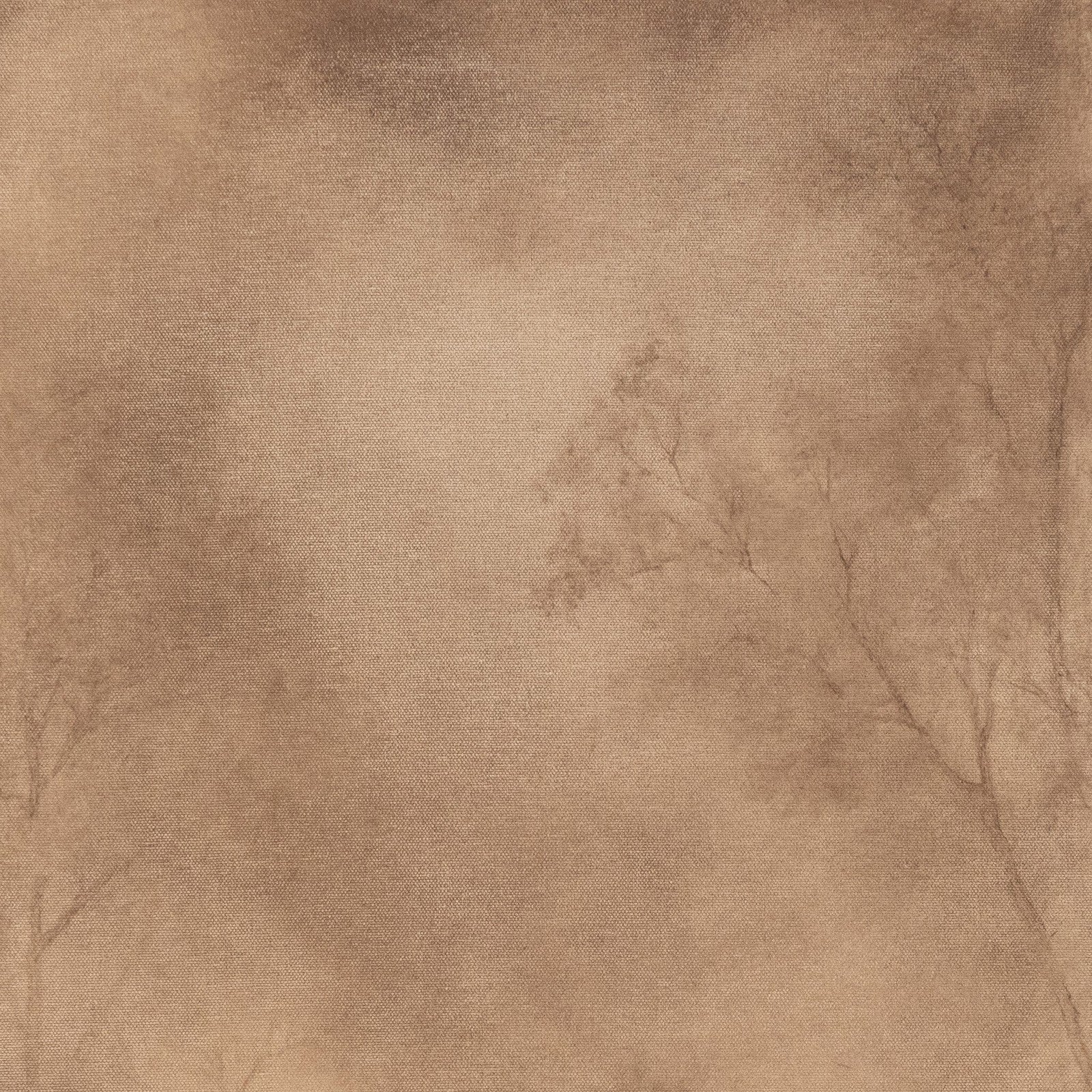 Roam By Aileen Fitzgerald