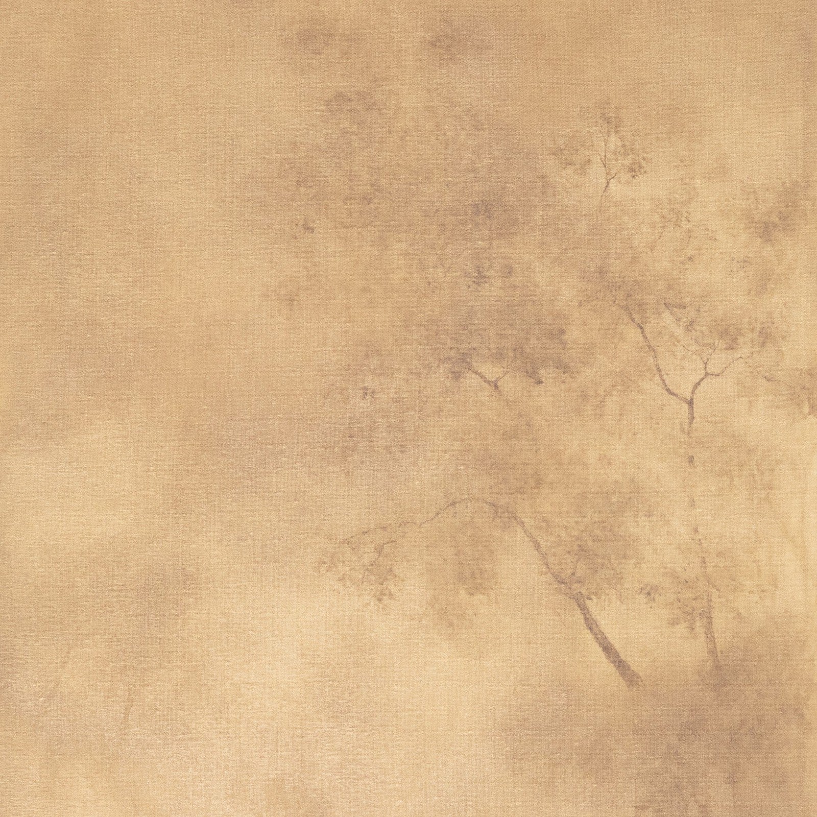 Towering Oak By Aileen Fitzgerald