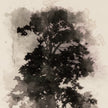 Tree Sketch I By Coup D'esprit