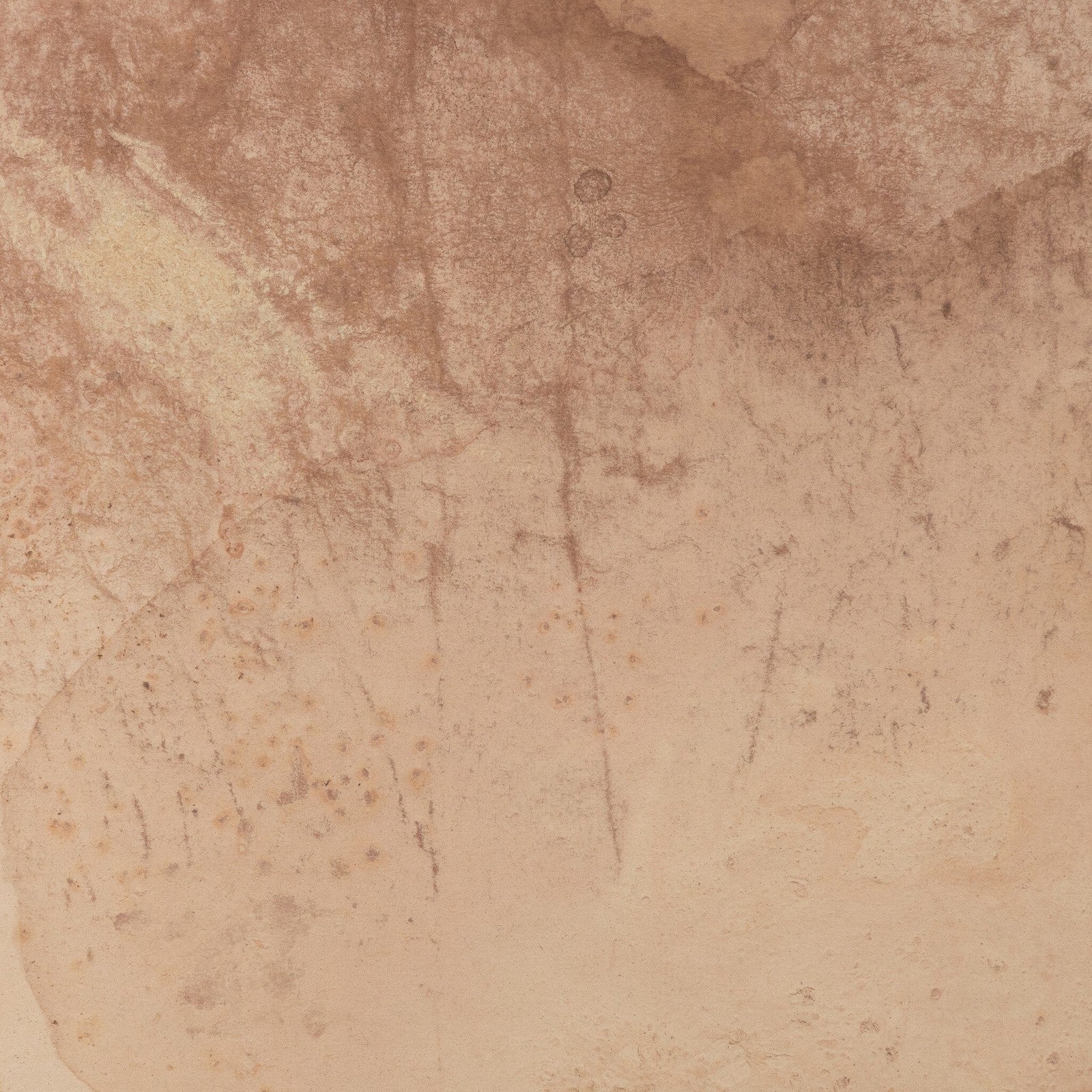 Unforeseen Beauty By Molly Supplee