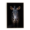 Zebra Stare By Getty Images