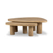 Four Hands Zion Nesting Coffee Table Set