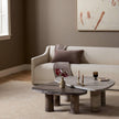Zion Nesting Coffee Tables