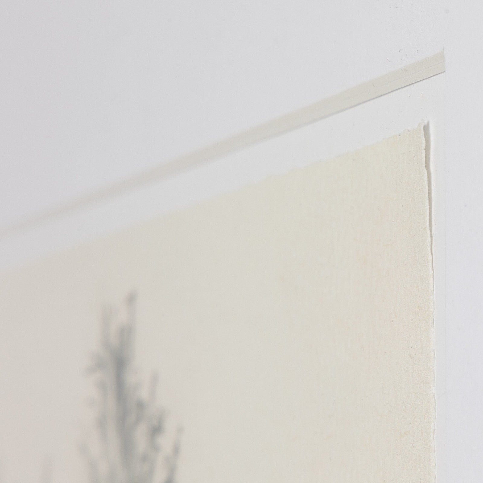 Tree Sketch By Dan Hobday