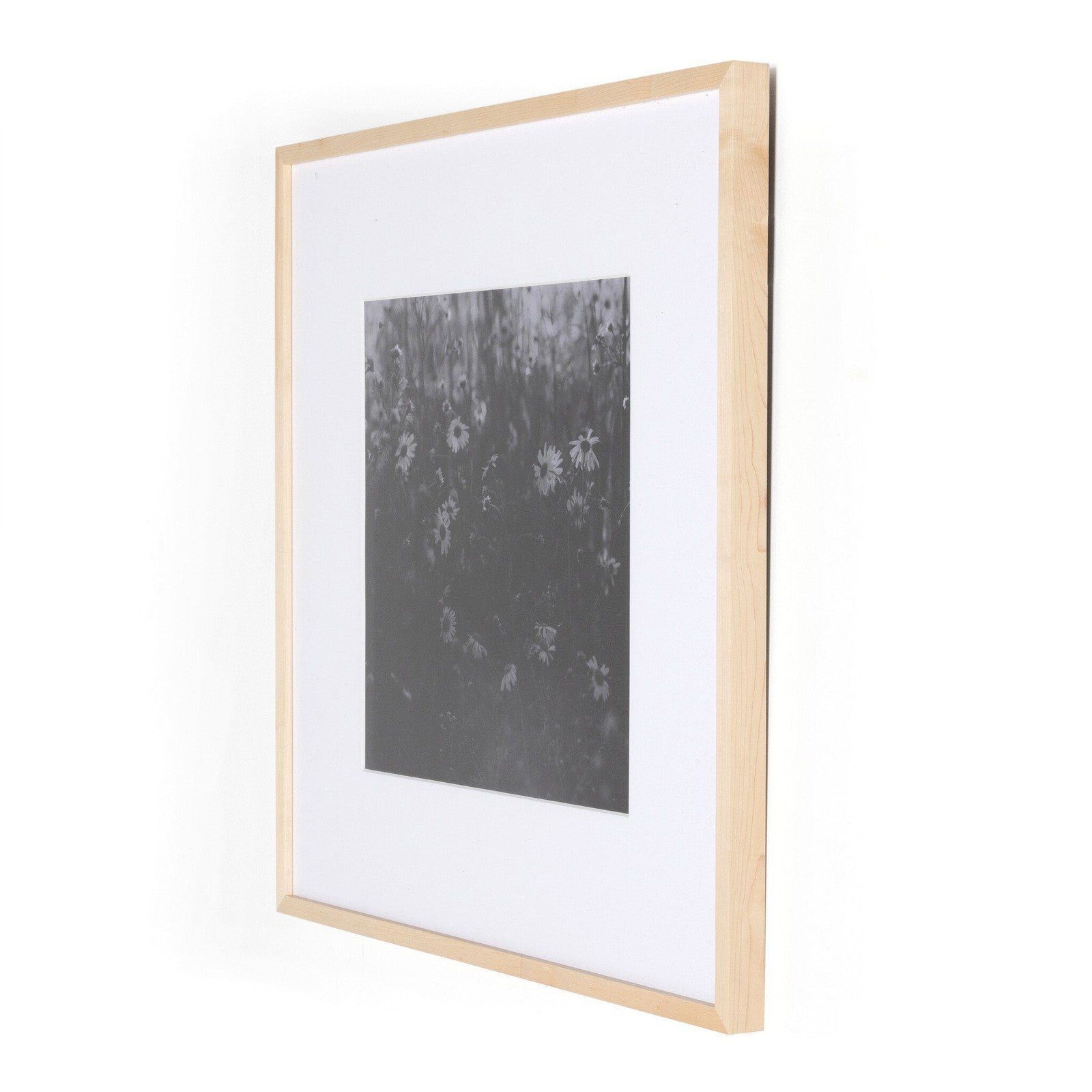 Floral Film II By Annie Spratt