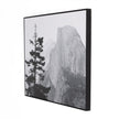 Half Dome From Glacier Point By Getty