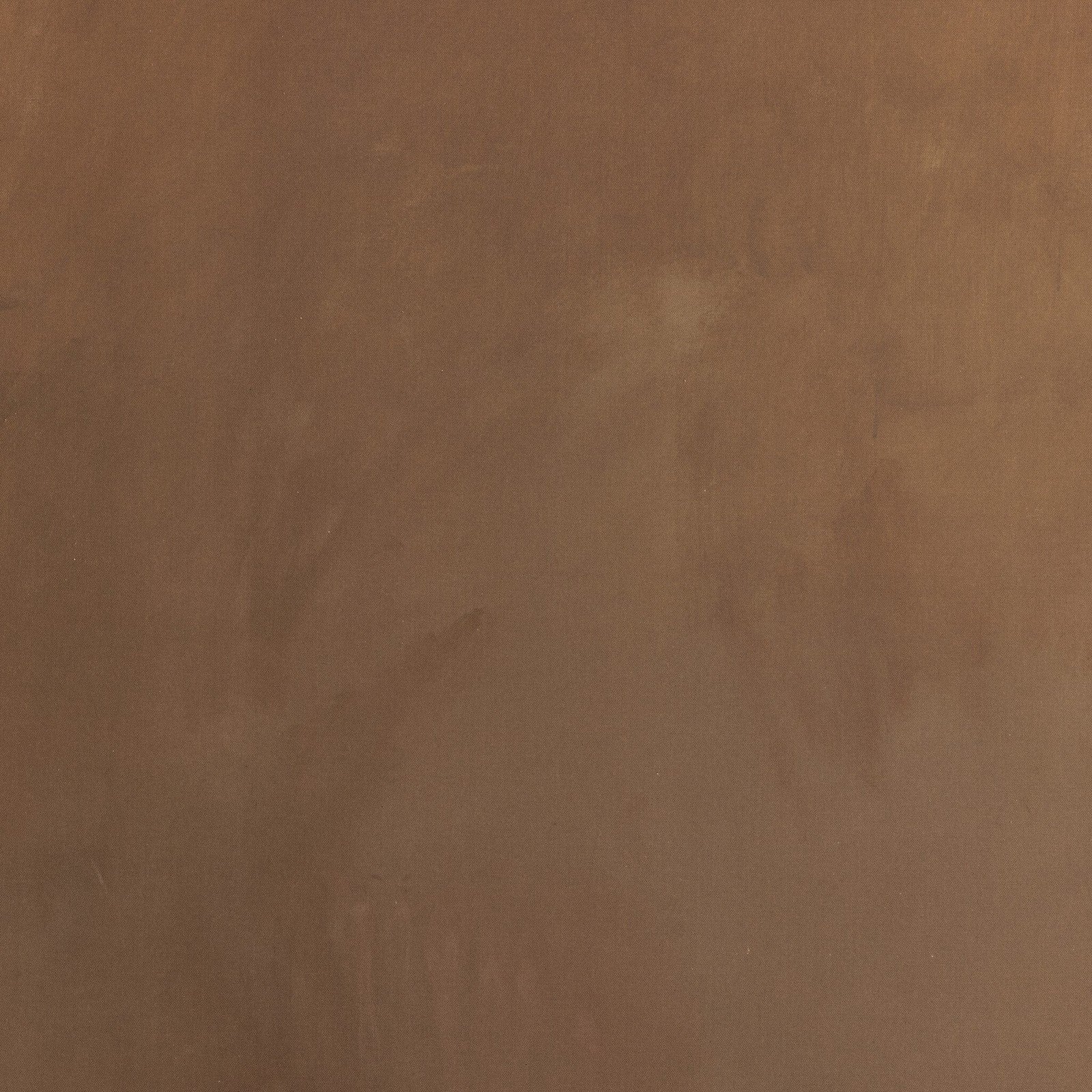 In The Quiet Earth By Melody Joy Mcmunn