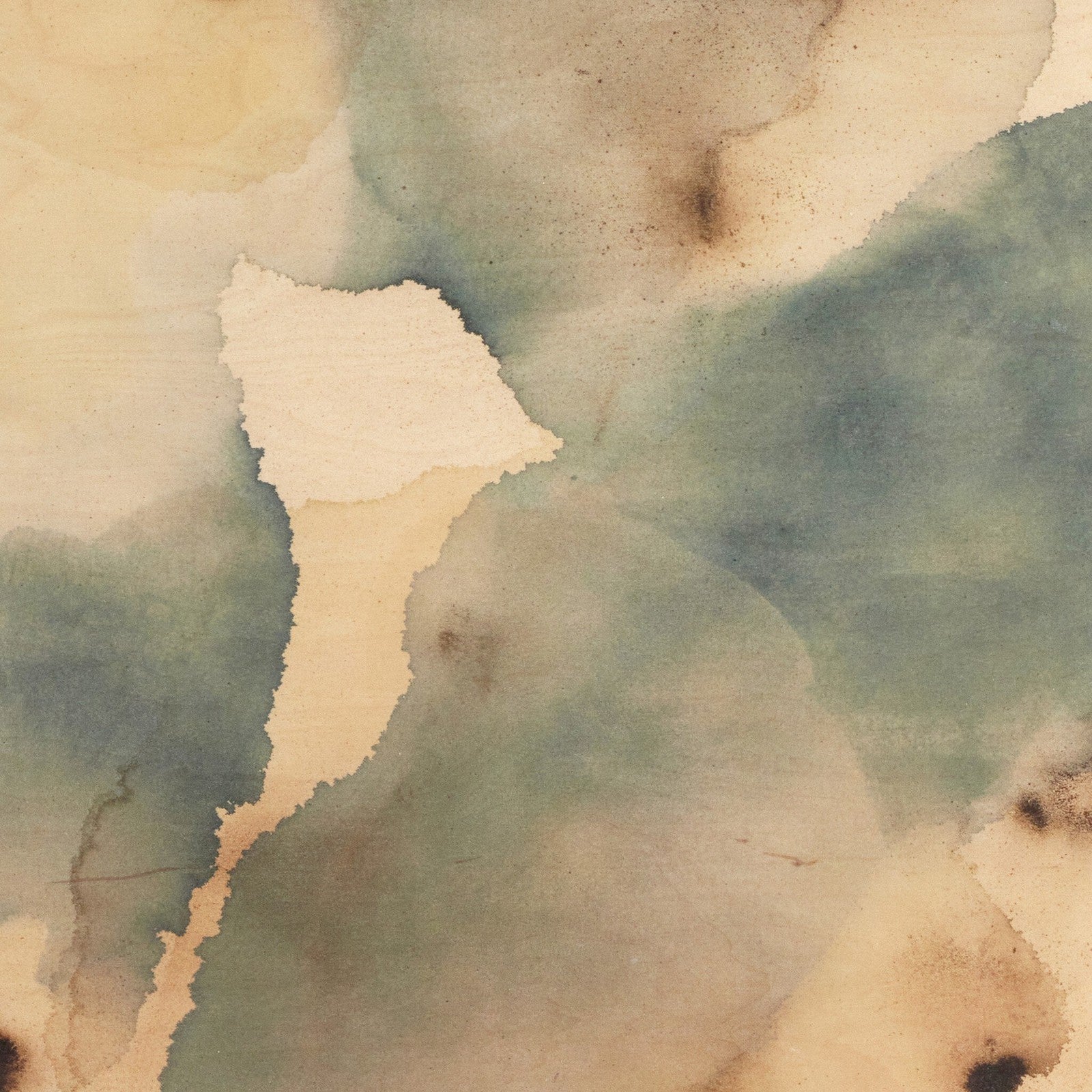 Nostalgia Underneath Set - Molly Franken