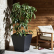Four Hands Koto Planter
