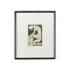 Stoic By Coup D'esprit-Brimfield Black