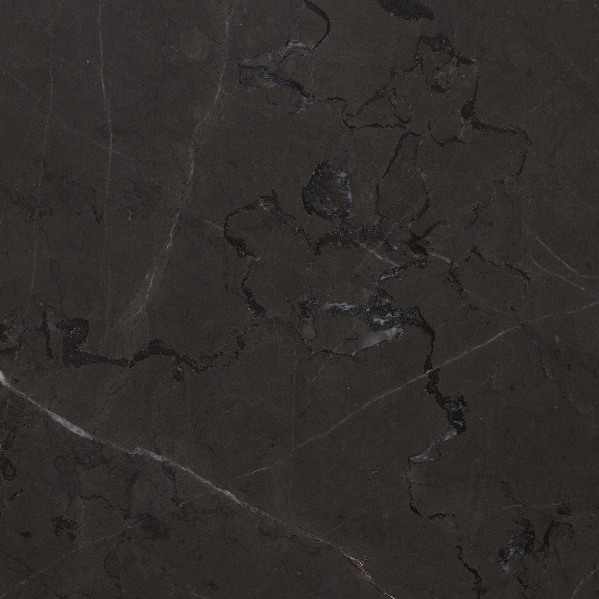 Four Hands Babylon Coffee Table