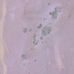 Where The Wild Lilacs Grw By Tyler Guinn