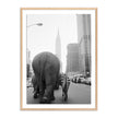 Circus Animals On 33rd St By Getty Images