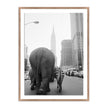 Circus Animals On 33rd St By Getty Images