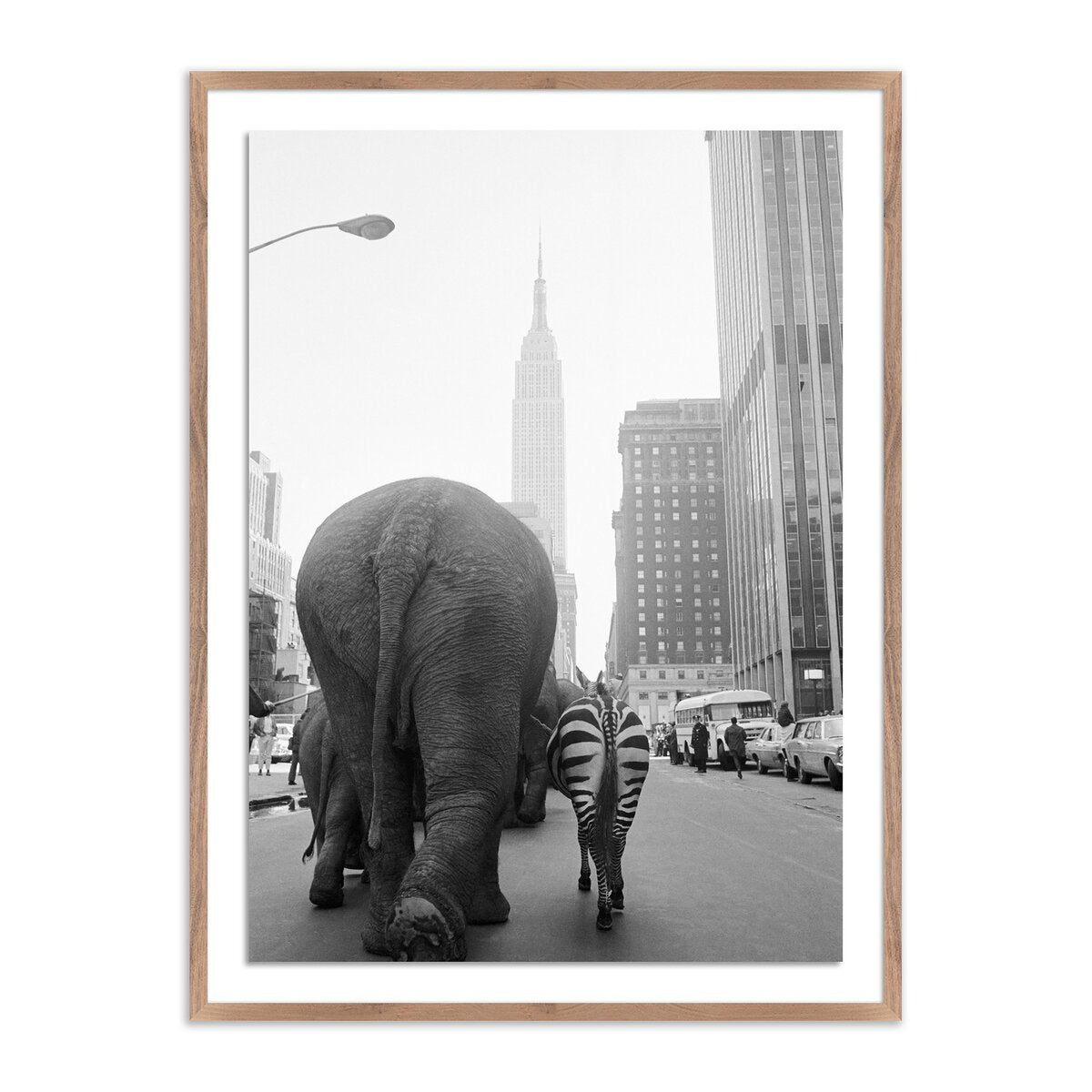 Circus Animals On 33rd St By Getty Images