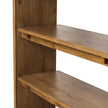 Four Hands Theodore Bookcase