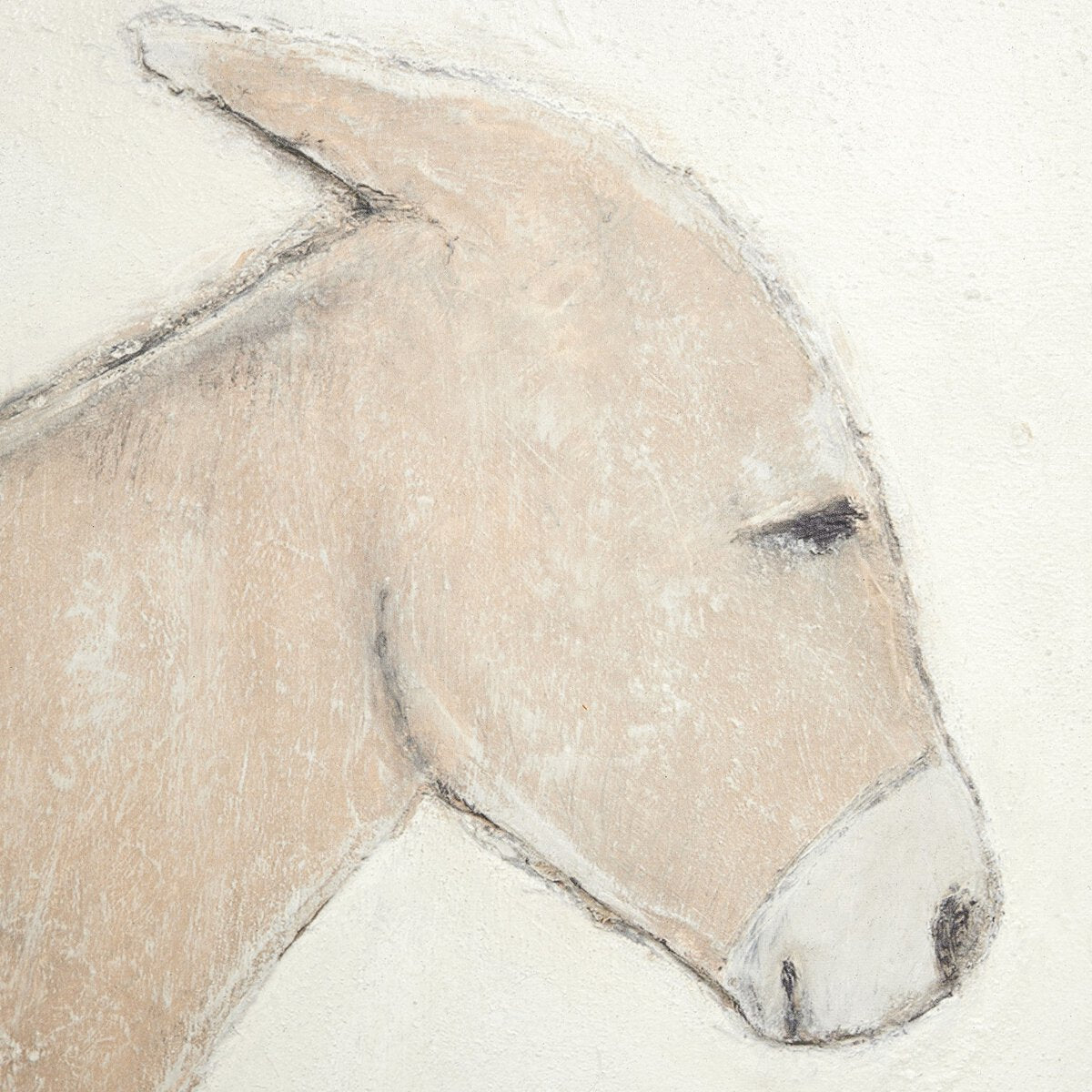 Burro Dia By Paul Meyer