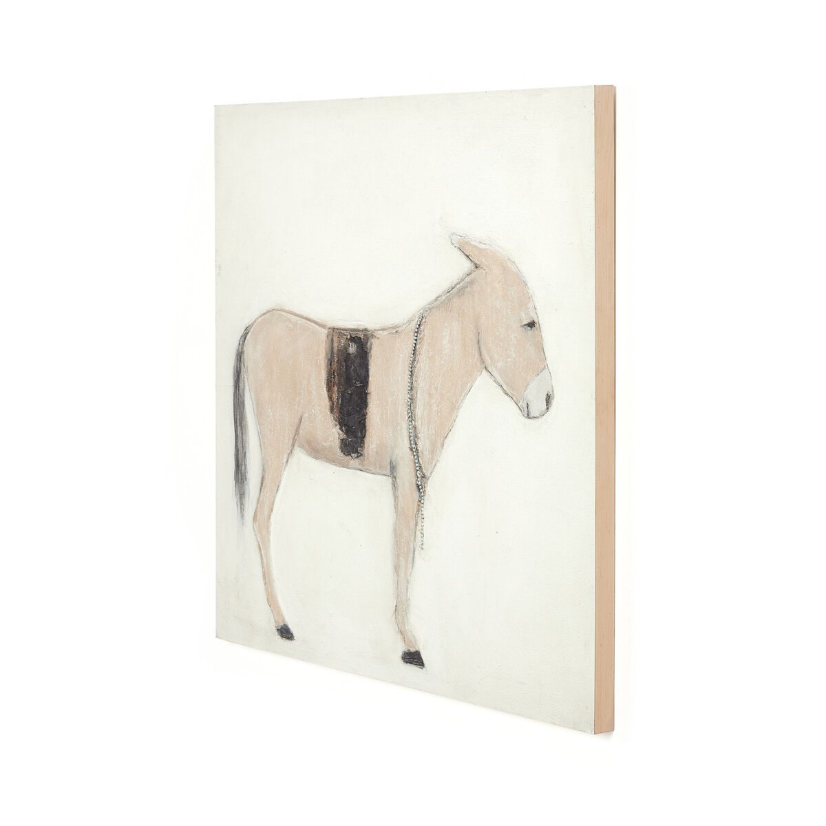 Burro Dia By Paul Meyer