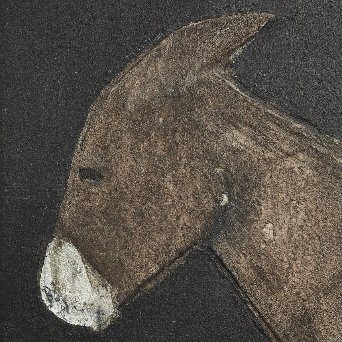 Burro Noche By Paul Meyer
