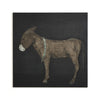 Burro Noche By Paul Meyer