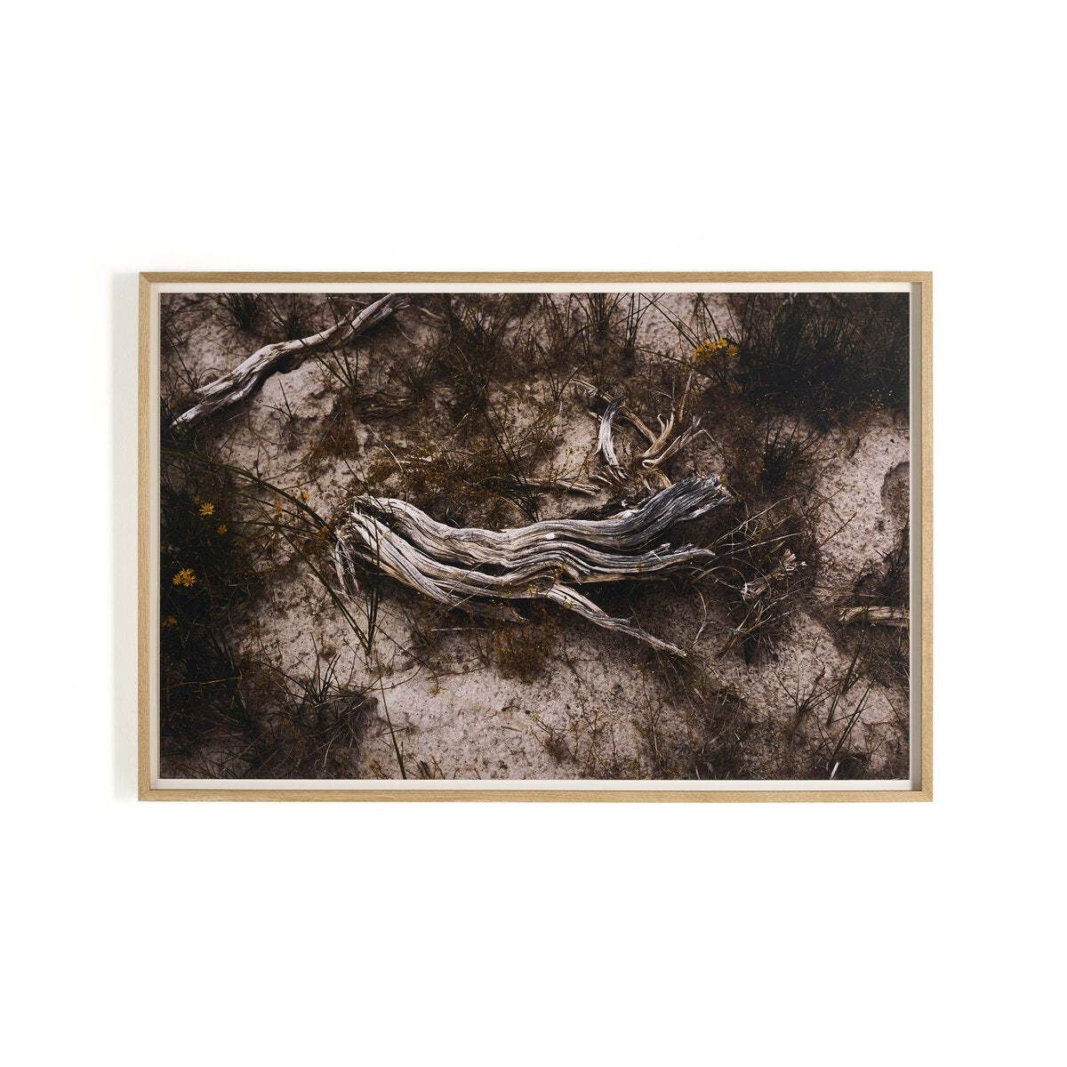 Bough By Shade Degges