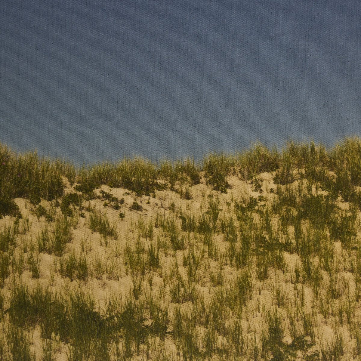 Before The Coastline By Shade Degges