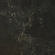 Attrition By Paul Meyer