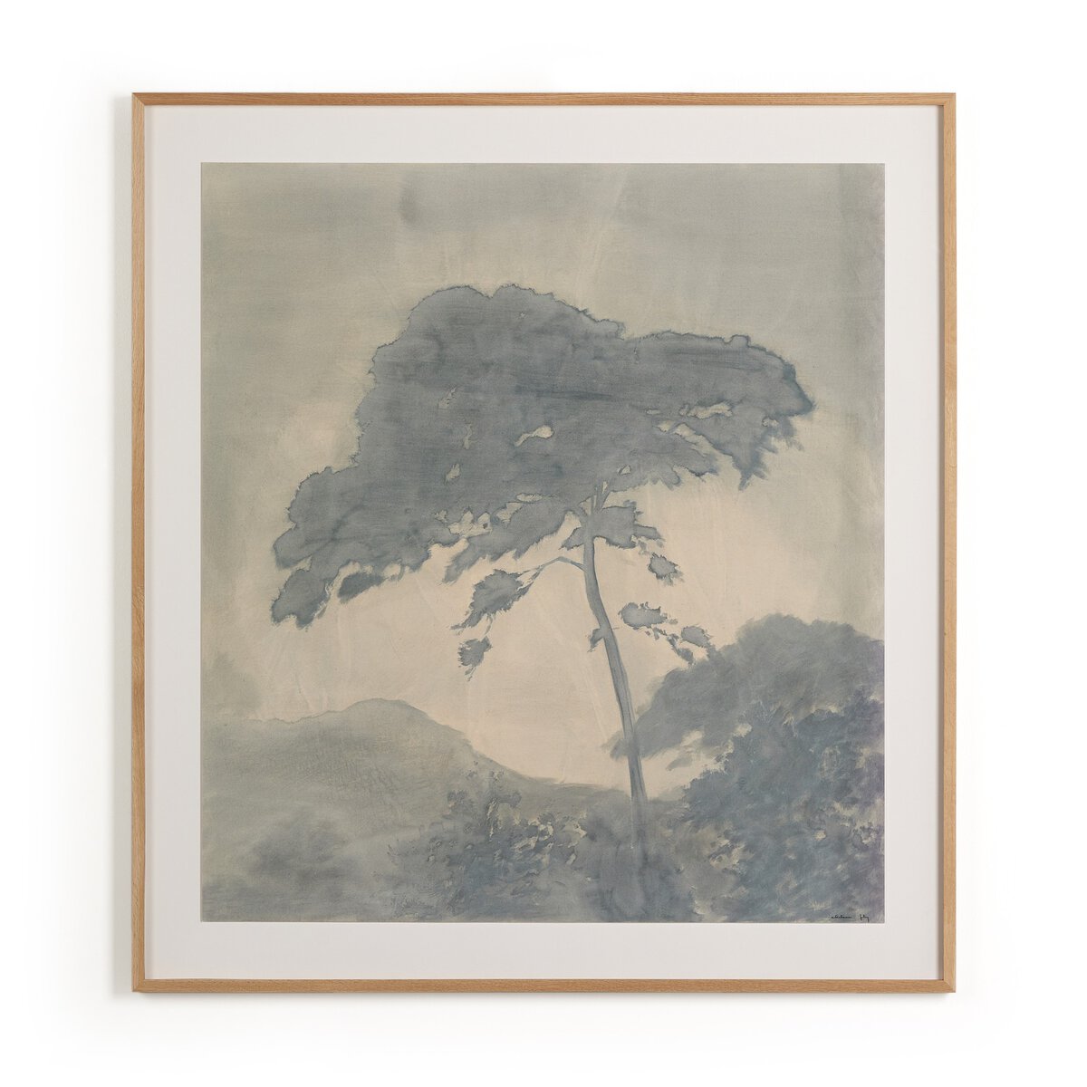 Canopy By Chelsea Fly