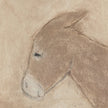 Burro Marron By Paul Meyer