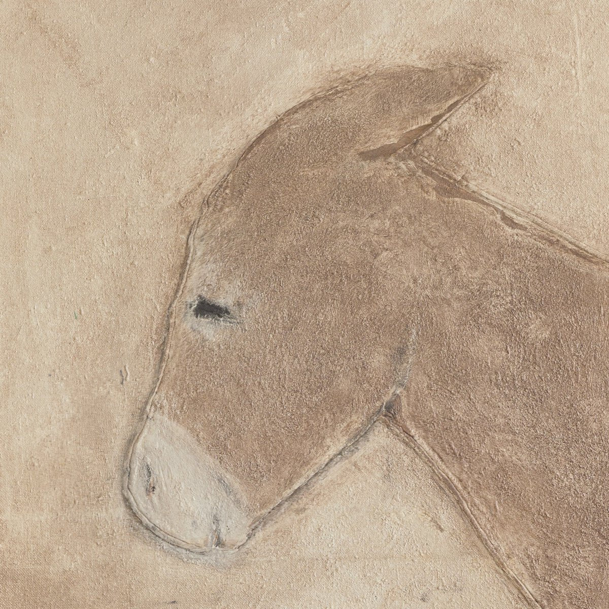 Burro Marron By Paul Meyer