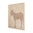 Burro Marron By Paul Meyer