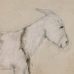 Burro Bestow By Paul Meyer