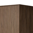 Leo Cabinet