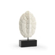 Wildwood Turtle Shell Sculpture