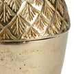 Wildwood Autumn Acorn Caddy