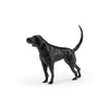 Wildwood Teddy Matte Black Dog Sculpture