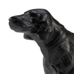Wildwood Teddy Matte Black Dog Sculpture