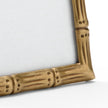 Wildwood Brass Bamboo Frame